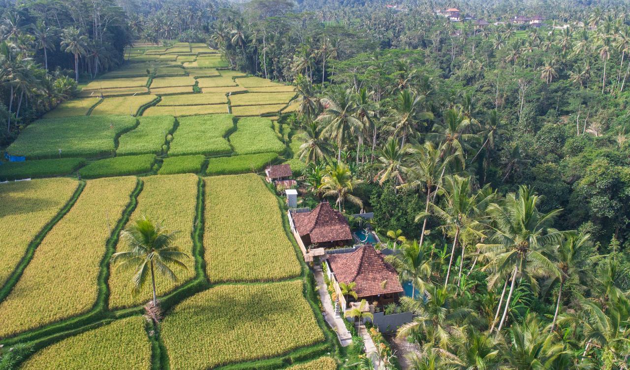 Mandana Ubud Villa Exteriör bild
